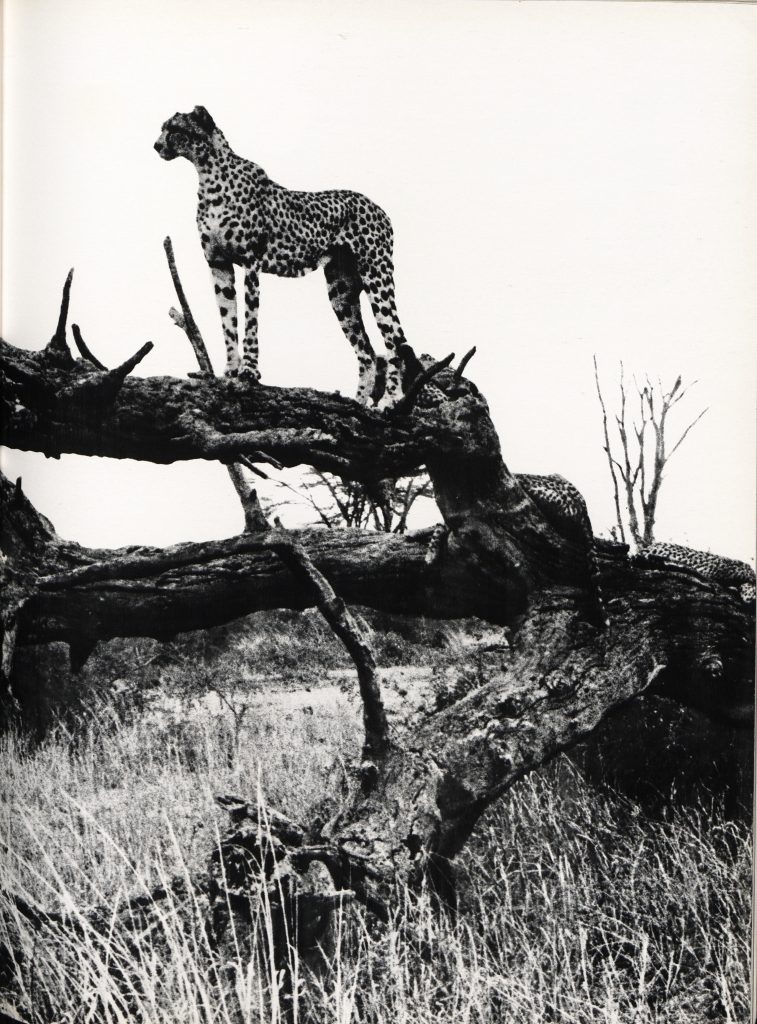 Sguardi aperti sul mondo