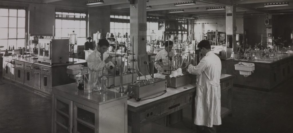 L’occhio della scienza: Pirelli e le immagini della ricerca