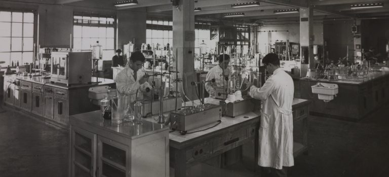 L’occhio della scienza: Pirelli e le immagini della ricerca